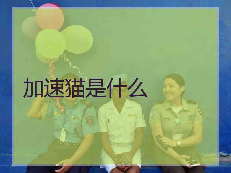 加速猫是什么