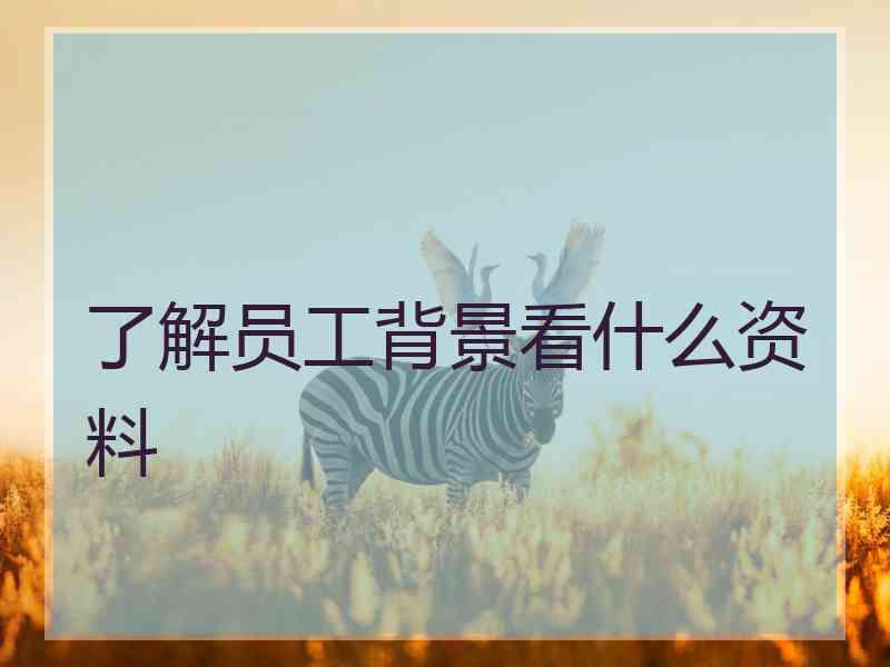 了解员工背景看什么资料