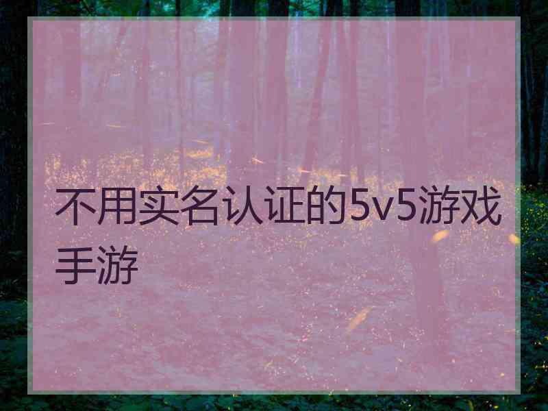 不用实名认证的5v5游戏手游