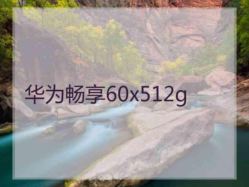华为畅享60x512g