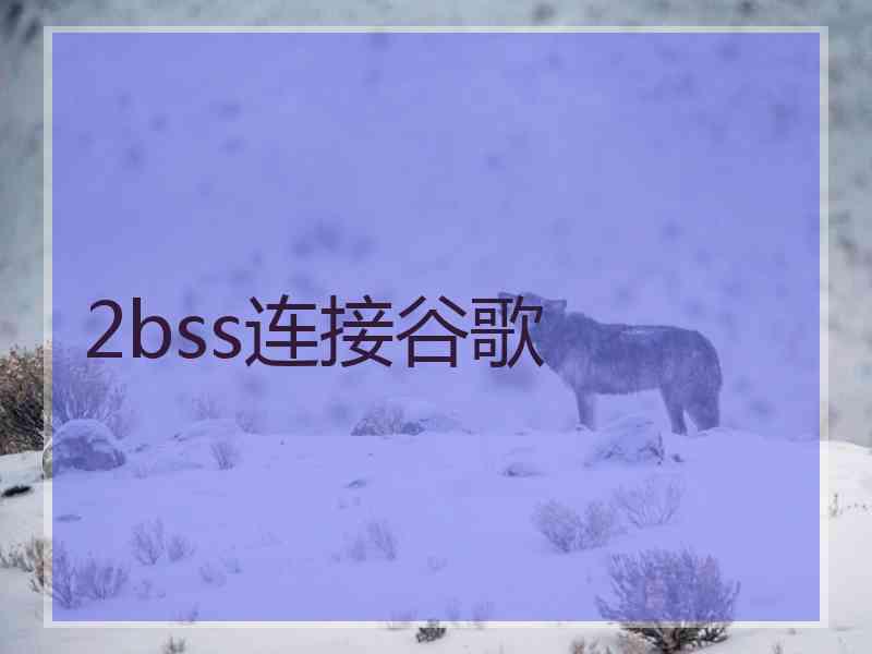 2bss连接谷歌