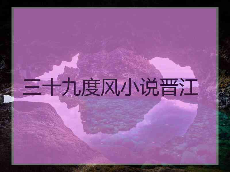 三十九度风小说晋江