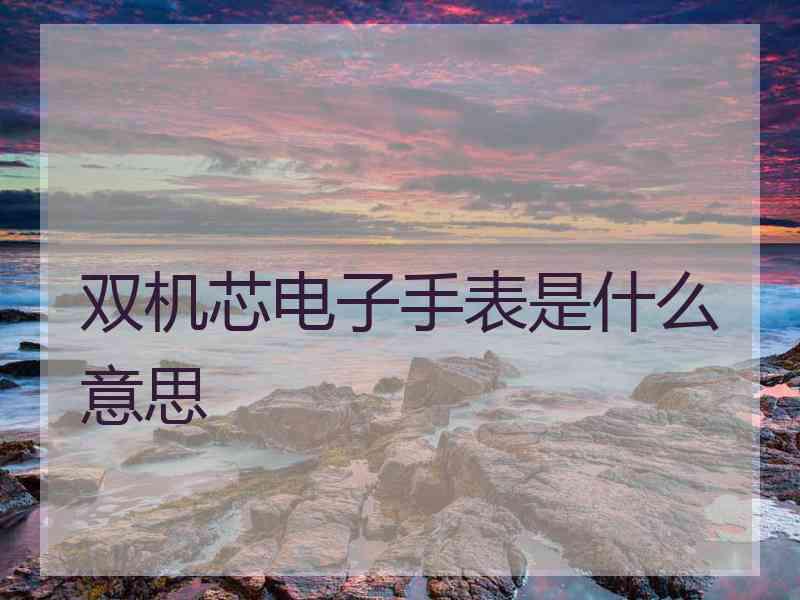 双机芯电子手表是什么意思