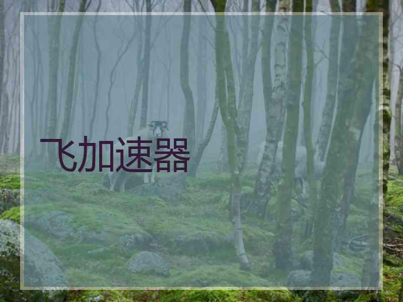 飞加速器