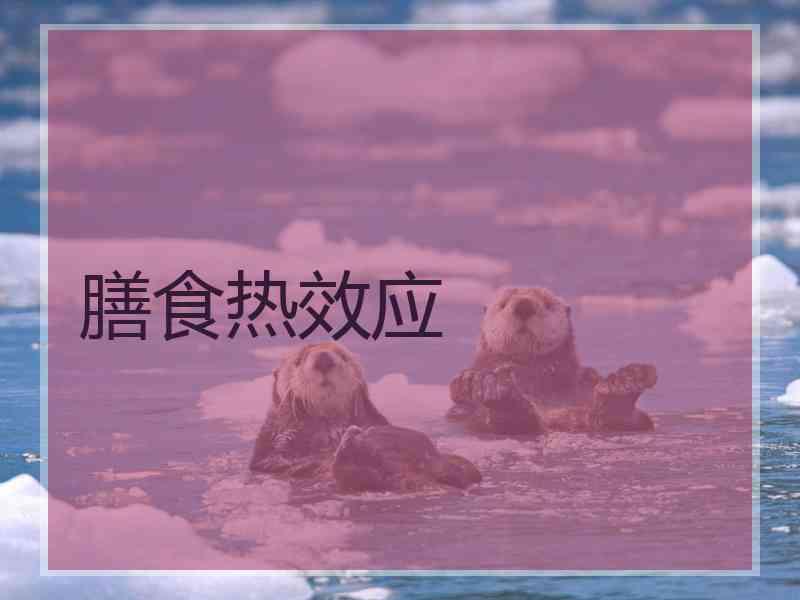 膳食热效应