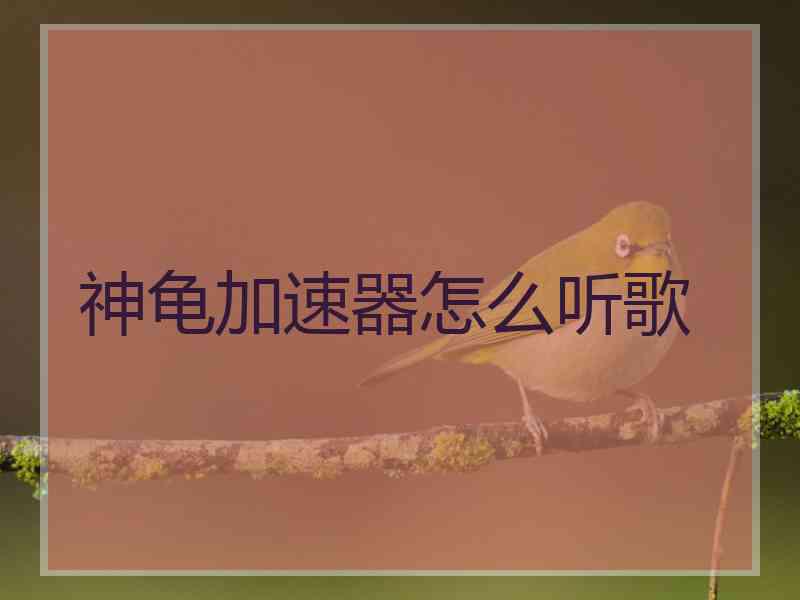 神龟加速器怎么听歌