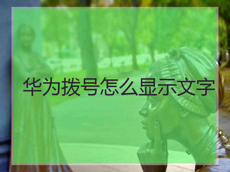 华为拨号怎么显示文字