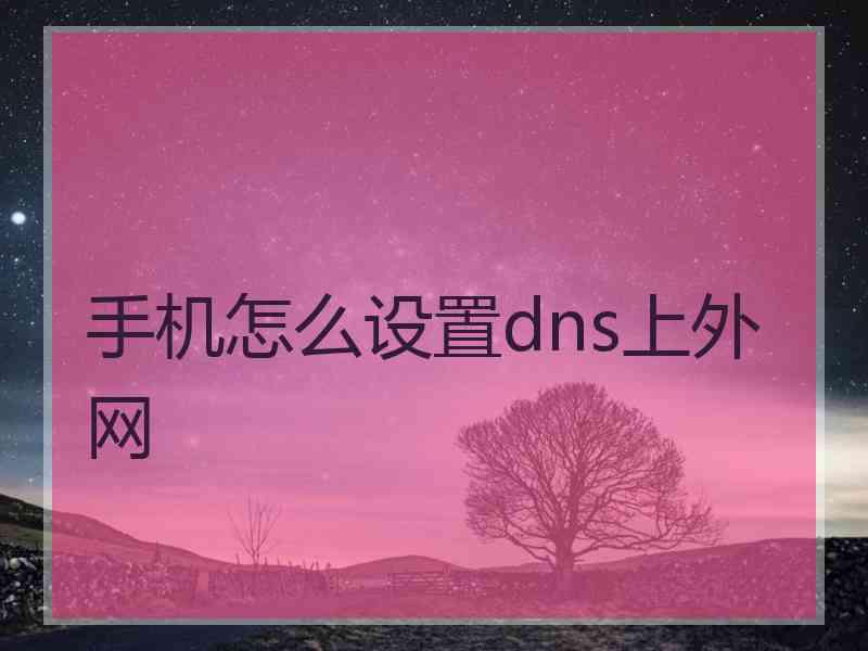 手机怎么设置dns上外网