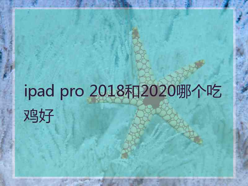 ipad pro 2018和2020哪个吃鸡好