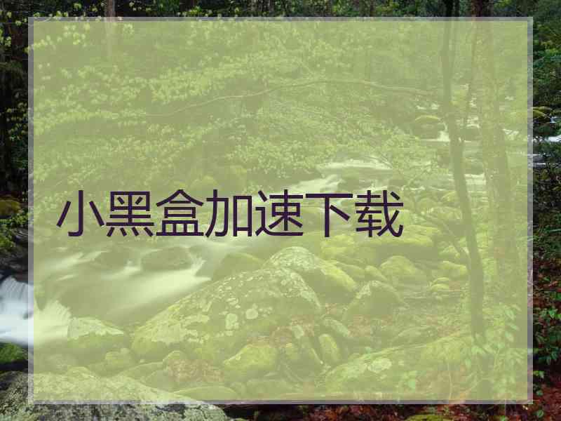 小黑盒加速下载