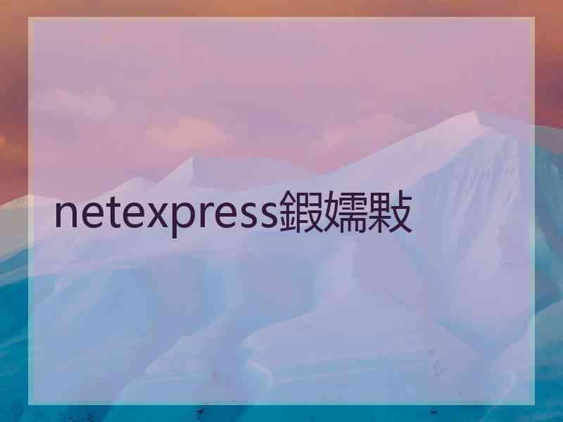 netexpress鍜嬬敤