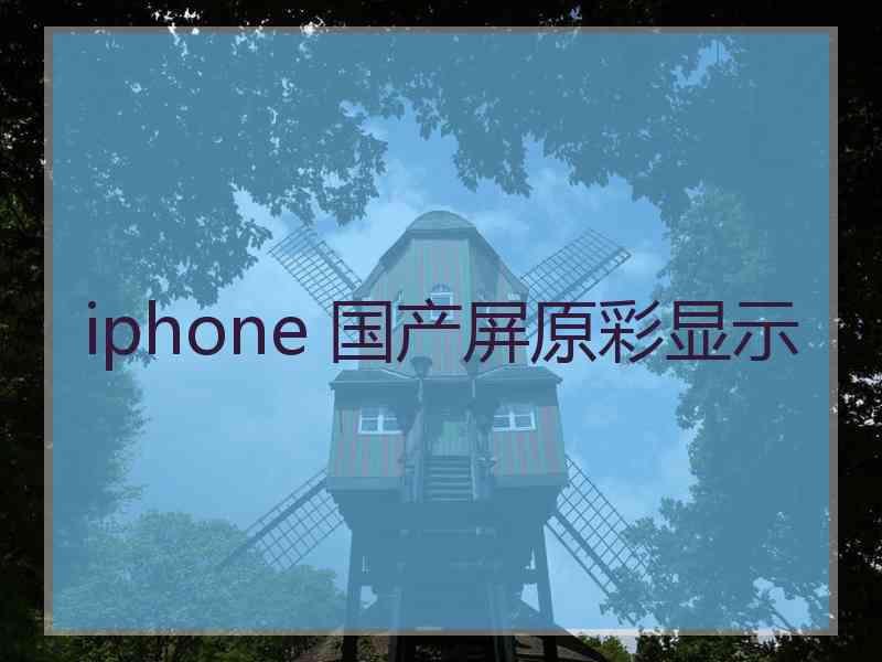 iphone 国产屏原彩显示