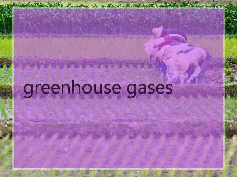 greenhouse gases