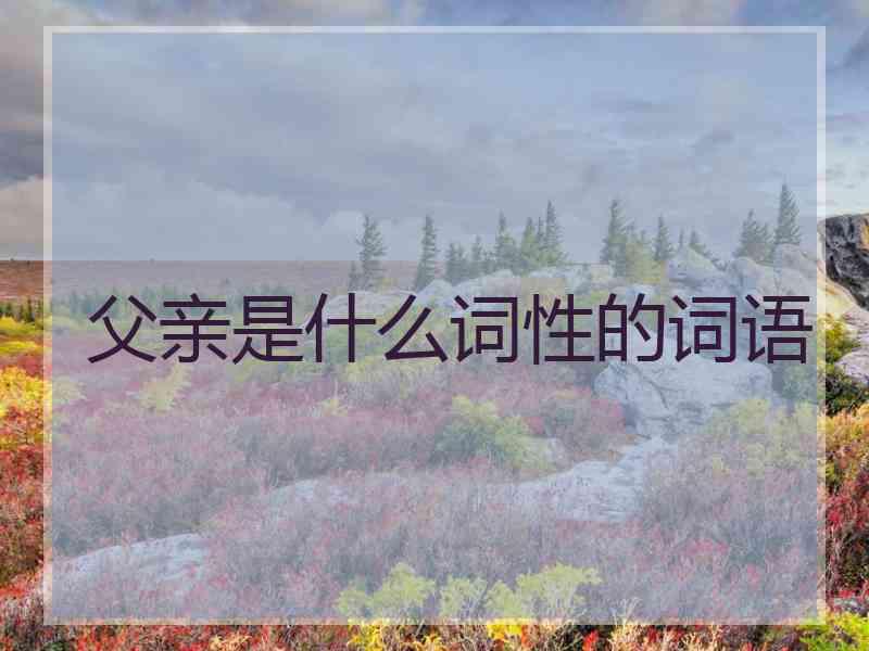 父亲是什么词性的词语