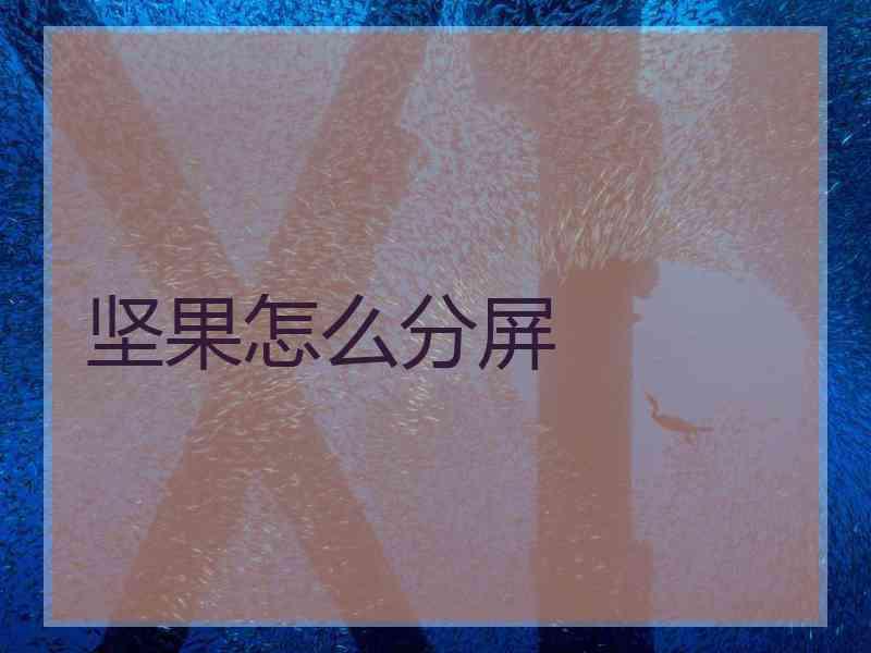 坚果怎么分屏