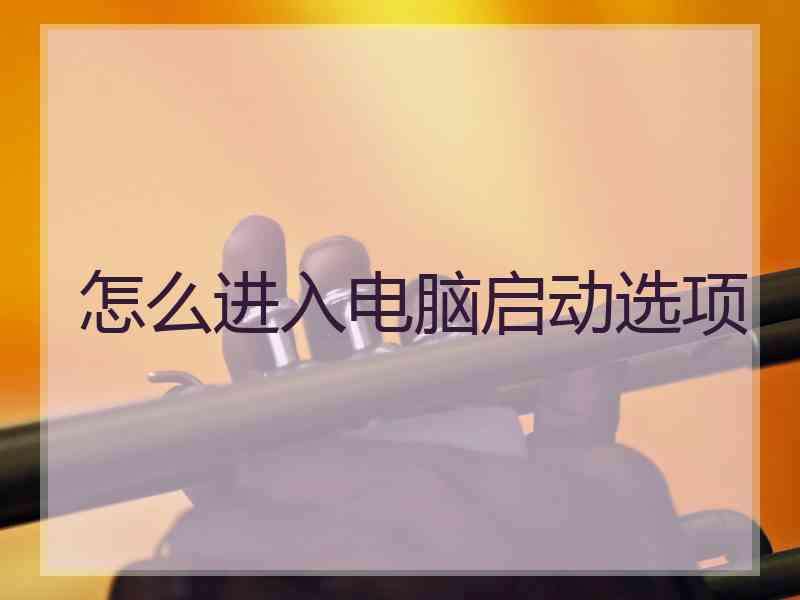 怎么进入电脑启动选项