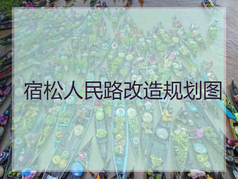 宿松人民路改造规划图
