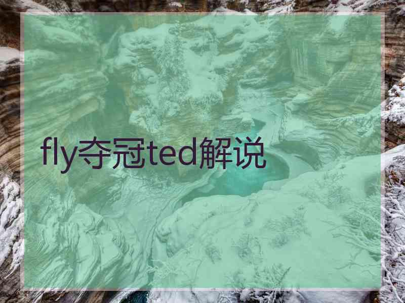 fly夺冠ted解说