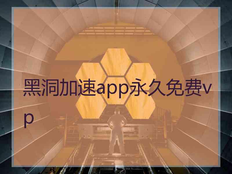 黑洞加速app永久免费vp