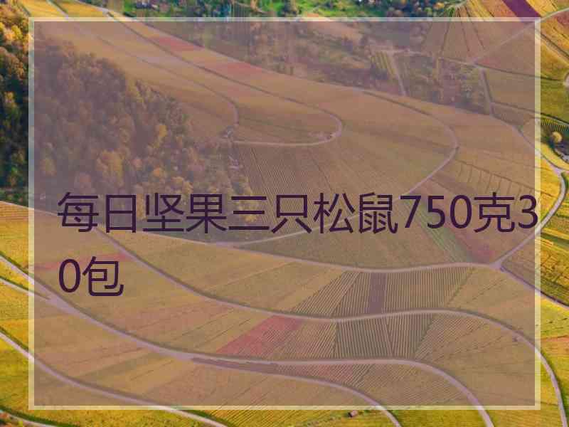 每日坚果三只松鼠750克30包
