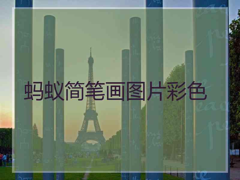 蚂蚁简笔画图片彩色
