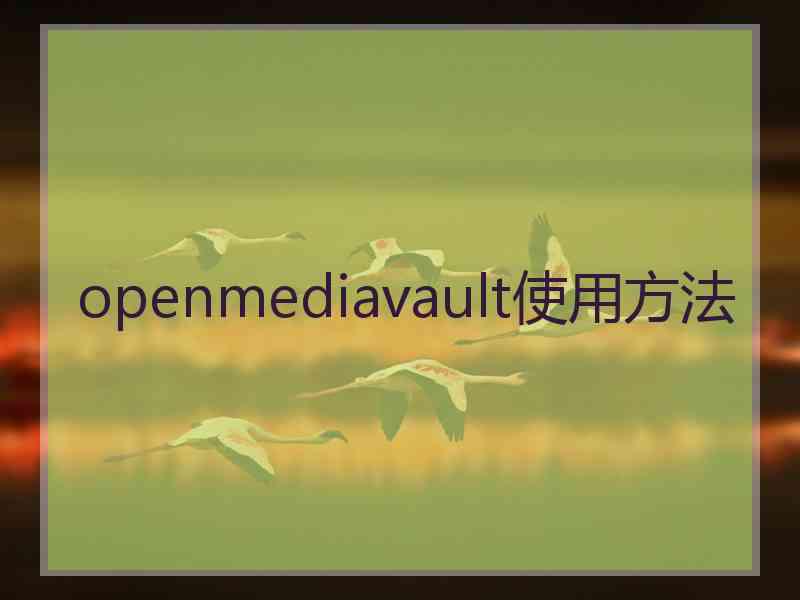 openmediavault使用方法