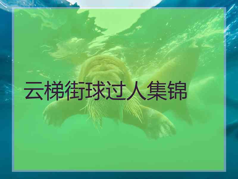 云梯街球过人集锦