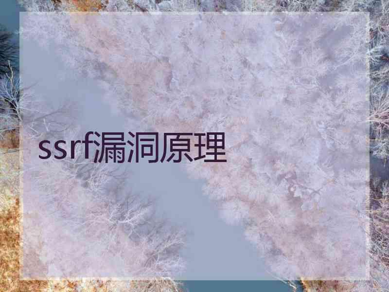 ssrf漏洞原理