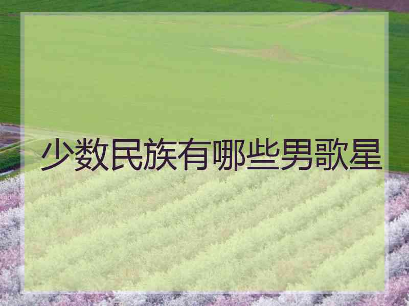 少数民族有哪些男歌星