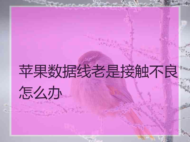 苹果数据线老是接触不良怎么办