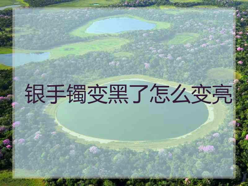 银手镯变黑了怎么变亮