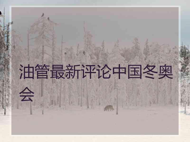 油管最新评论中国冬奥会