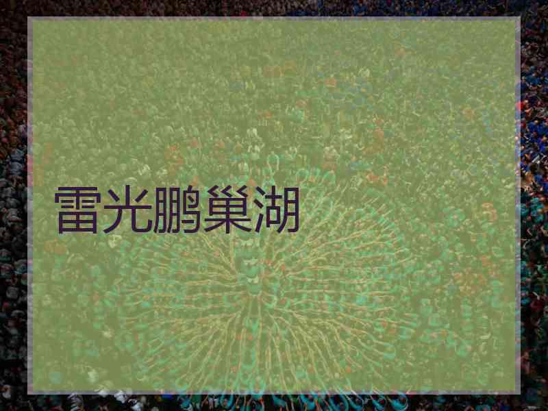 雷光鹏巢湖
