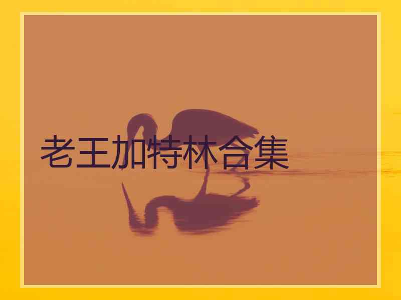 老王加特林合集