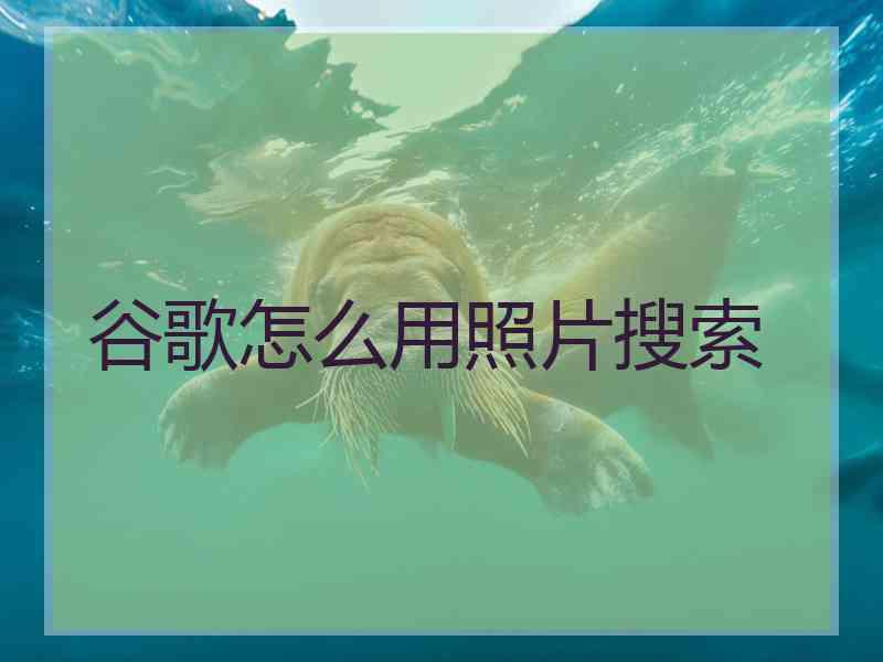谷歌怎么用照片搜索