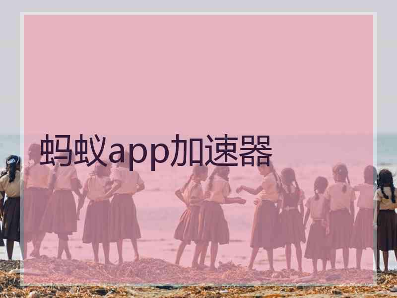 蚂蚁app加速器
