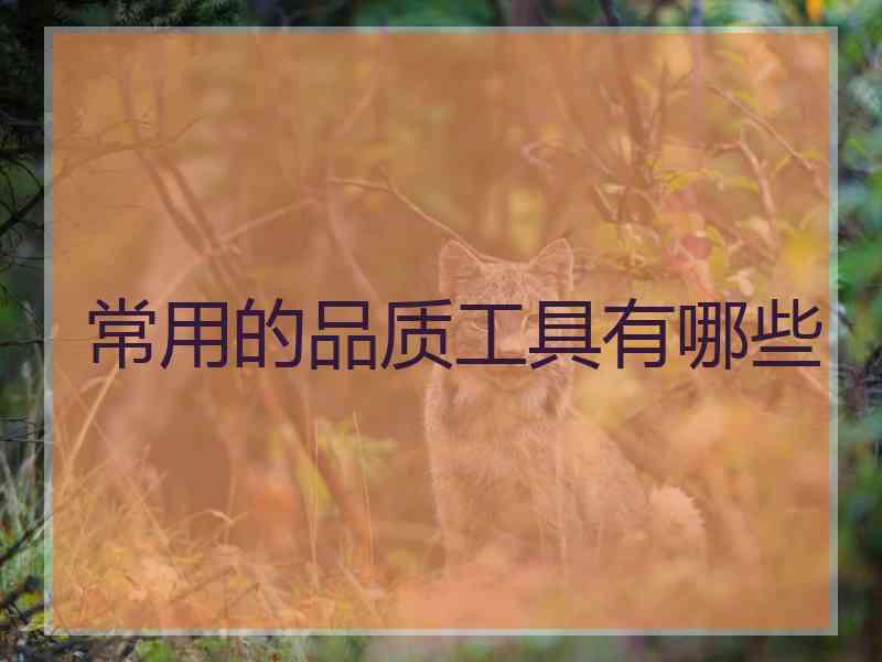 常用的品质工具有哪些