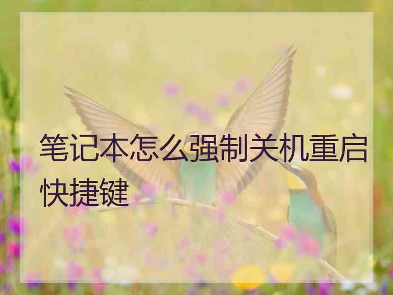 笔记本怎么强制关机重启快捷键