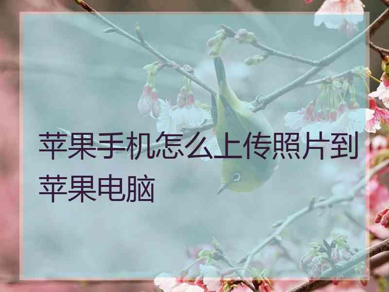苹果手机怎么上传照片到苹果电脑