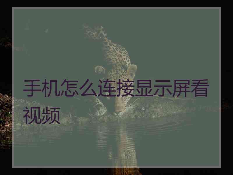 手机怎么连接显示屏看视频
