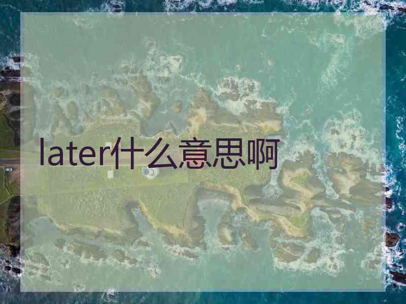 later什么意思啊