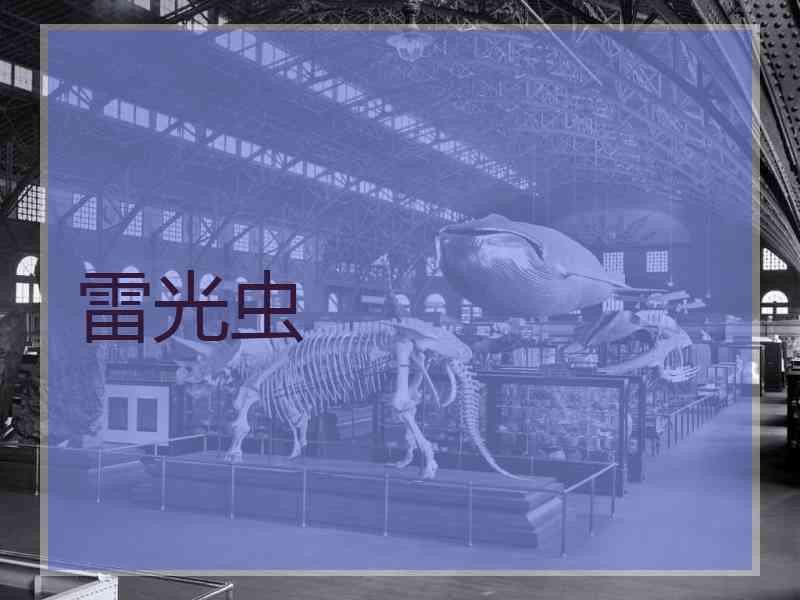 雷光虫