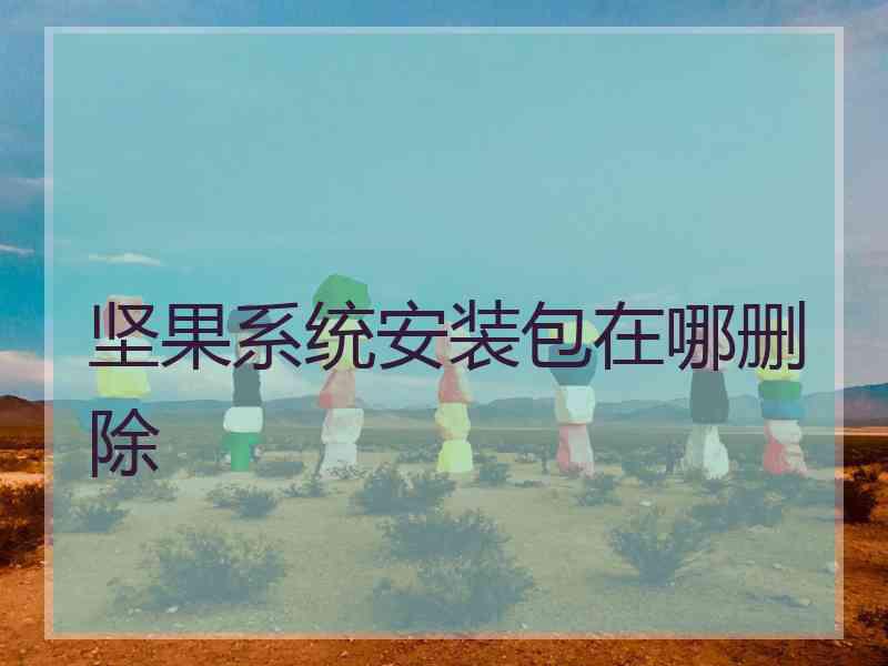 坚果系统安装包在哪删除