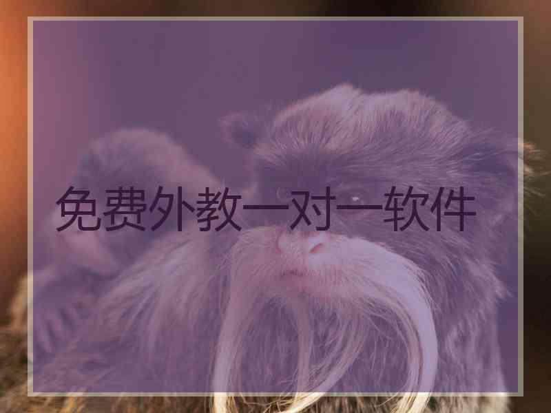 免费外教一对一软件