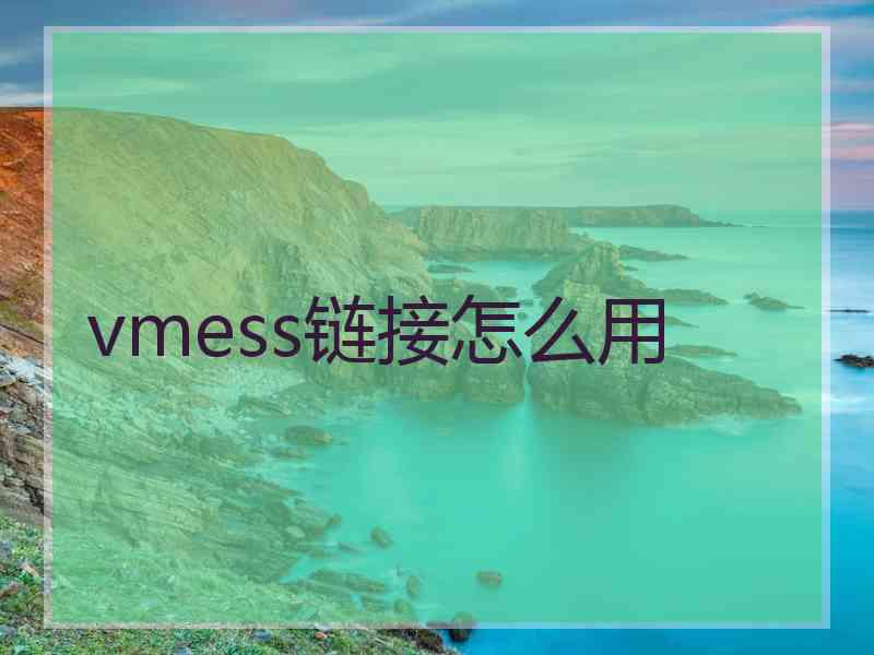 vmess链接怎么用
