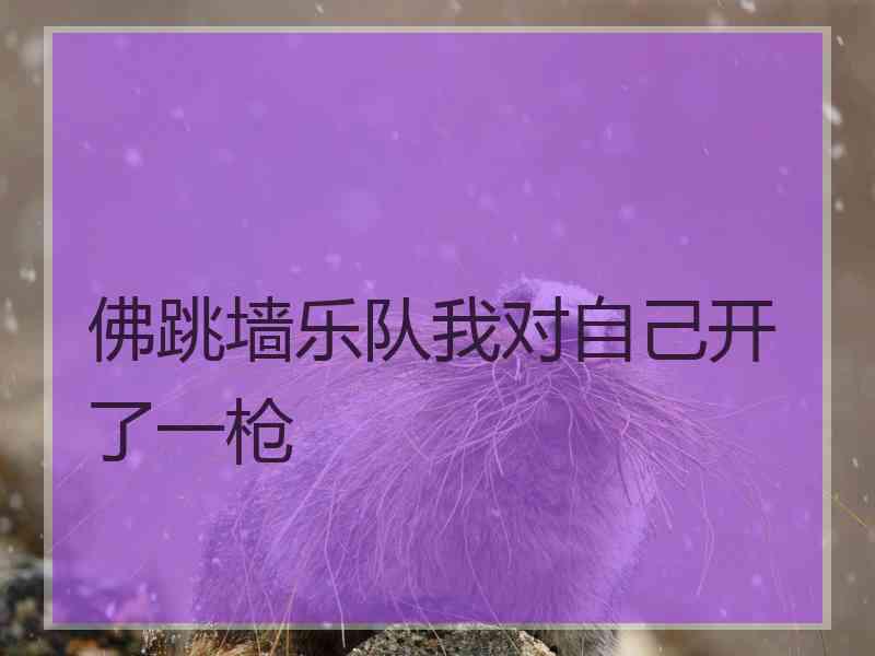 佛跳墙乐队我对自己开了一枪