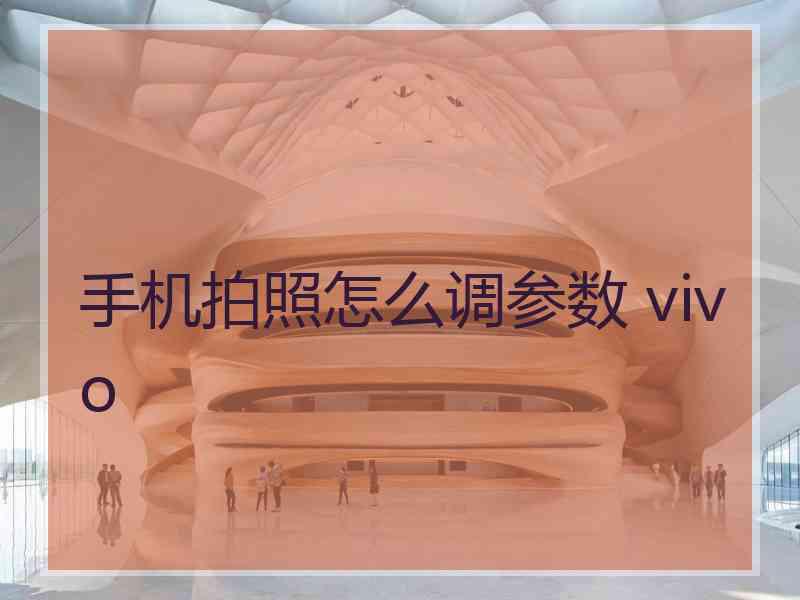 手机拍照怎么调参数 vivo