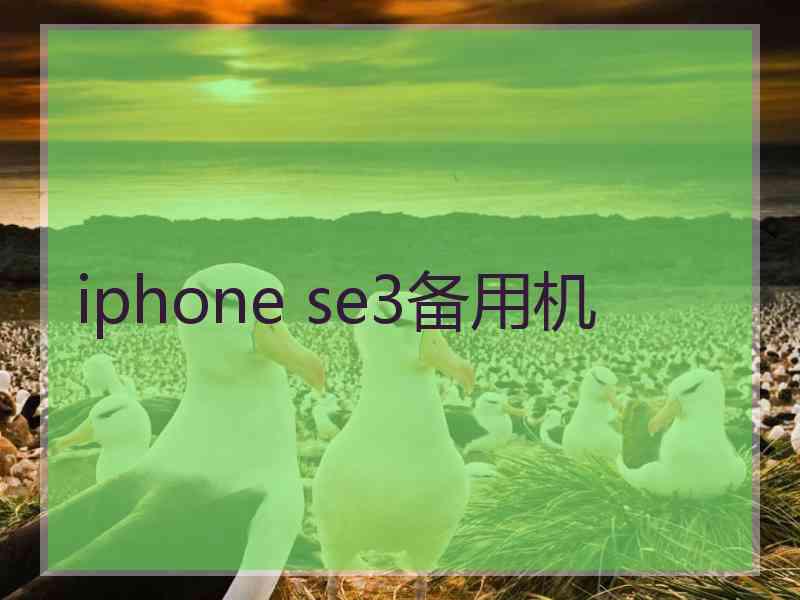 iphone se3备用机