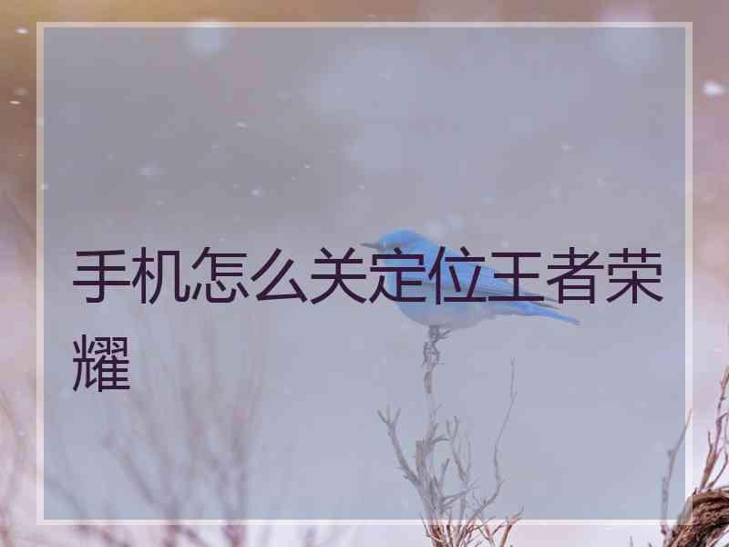 手机怎么关定位王者荣耀