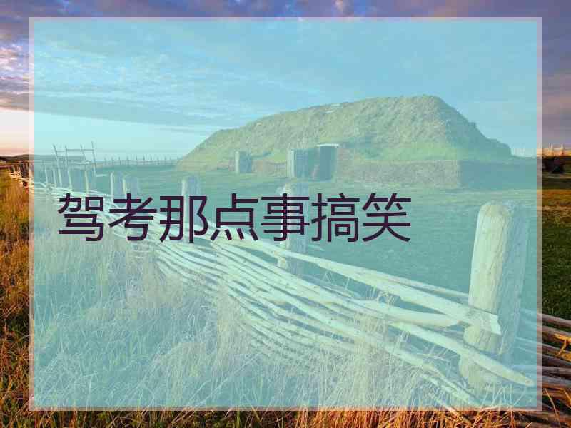 驾考那点事搞笑